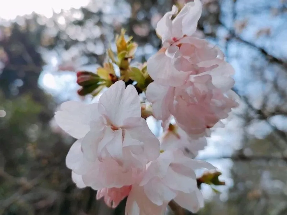 Расписание и маршруты общественного автобуса